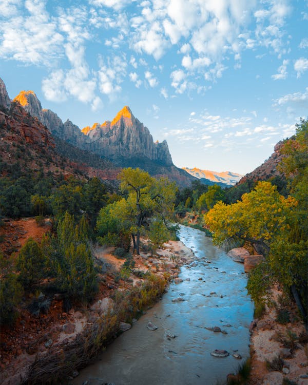 Klares Wasser fließt aus einem Wasserfilter in der Natur – Trinkwasseraufbereitung für Krisenvorsorge